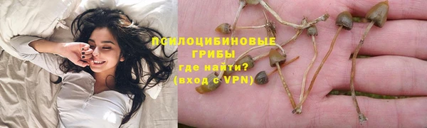 mdpv Армянск